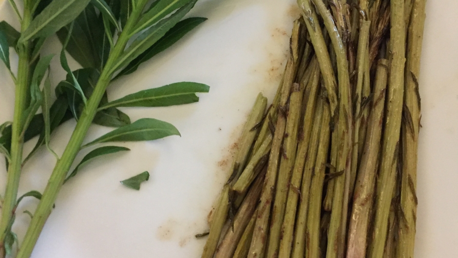 Stekte geitramsskudd Ville vekster