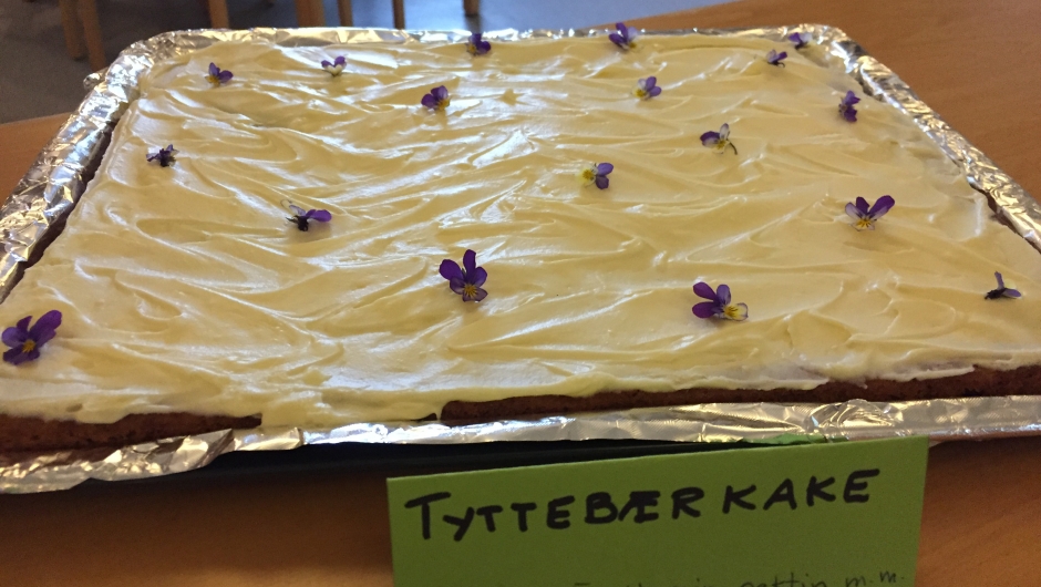 Tyttebærkake Ville vekster