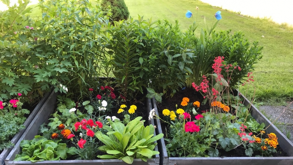 Pallekassene vart fine og fargerike ! Pallekassene vart fine og fargerike !