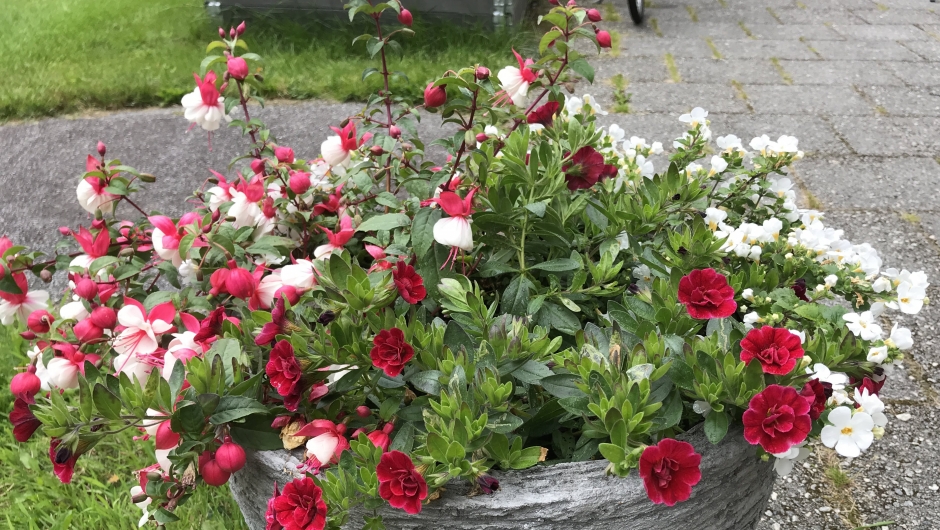 Ei fargerik krukke. Ei fargerik krukke.