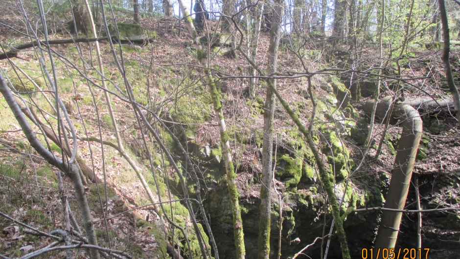 Her var saga. Fossen var nok større den gang de skjærte tømmer.....