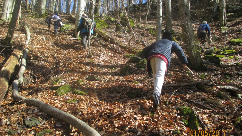 Over og under gjerder, krysset elva, oppover denne bratte skråningen, tvers over et sølete område - og endelig tilbake på Lofstad!