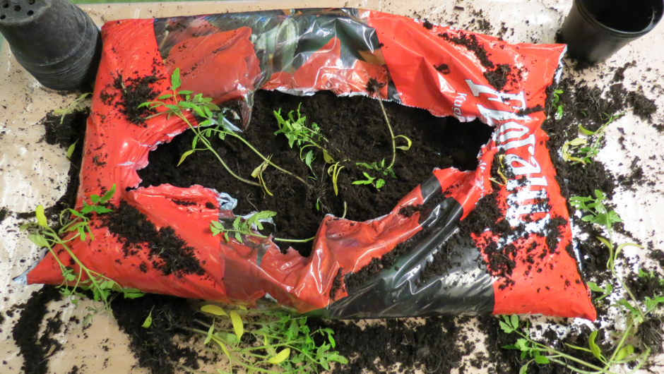 Fra jord der du bor Fra jord der du bor