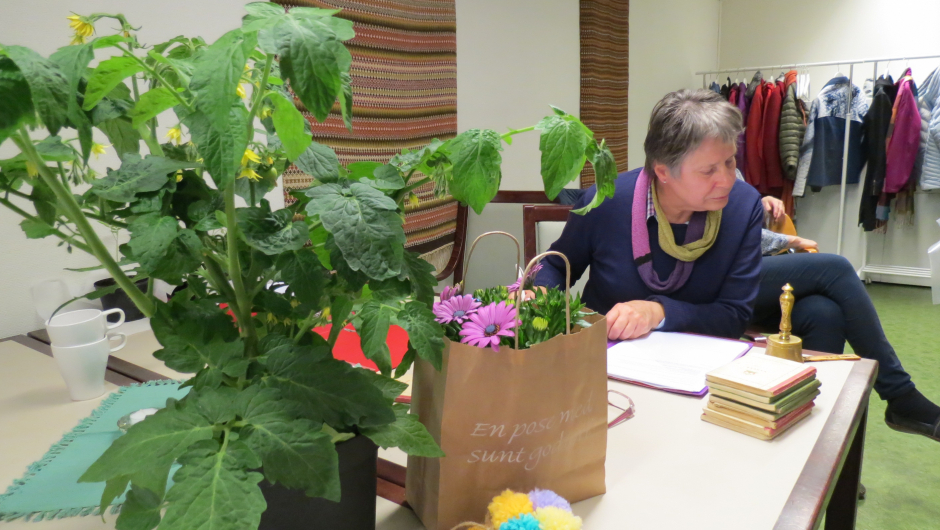 Fornøyd leder i selskap med en velvoksen tomatplante som ble loddet ut Fornøyd leder i selskap med en velvoksen tomatplante som ble loddet ut