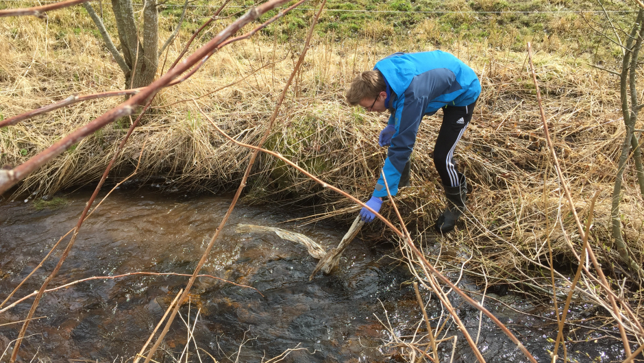 Plasten ligger også i bekker og elver Plasten ligger også i bekker og elver
