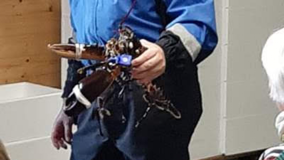 Ein svær hummar! Ein svær hummar!