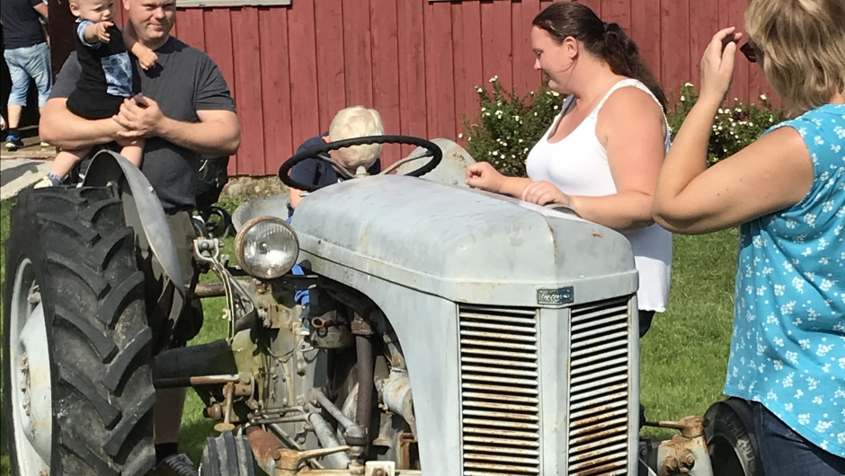 Gråtass er populær