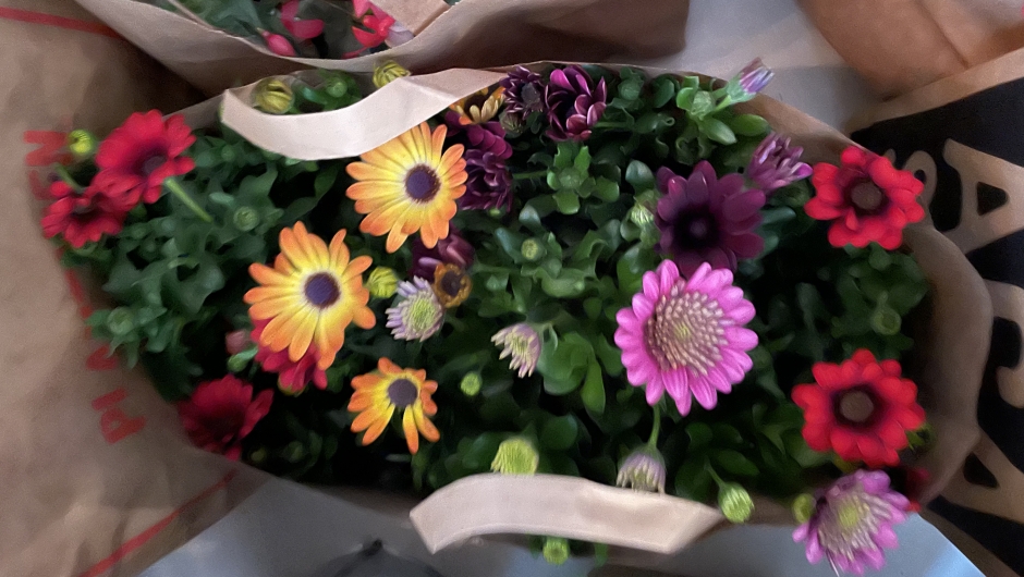 Margeritter Margeritter