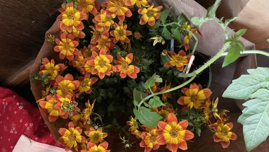 Mye fint å ta lodd på. Mye fint å ta lodd på.