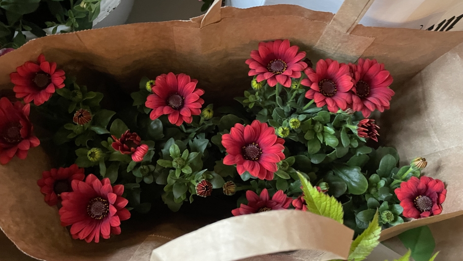 ...og bortekjøpte. ...og bortekjøpte.