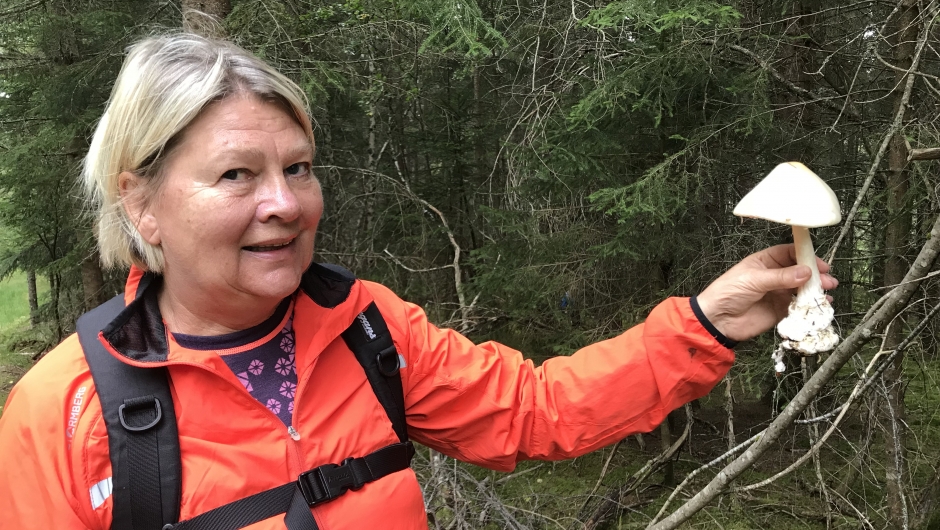 Kikki fant en hvit fluesopp, den meget giftig Kikki fant en hvit fluesopp, den meget giftig