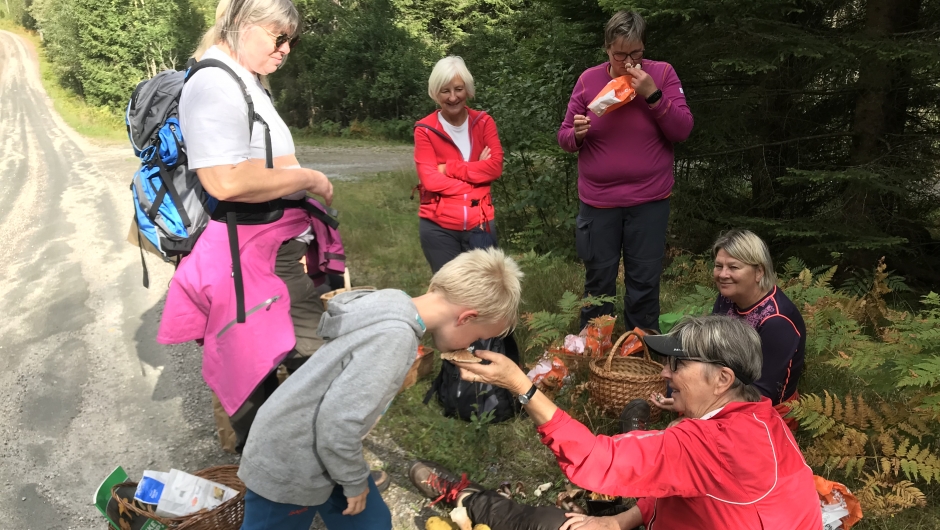 En metode for bestemme type sopp er lukta En metode for bestemme type sopp er lukta