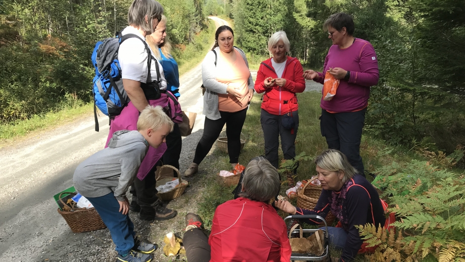 Masse spennende funn Masse spennende funn