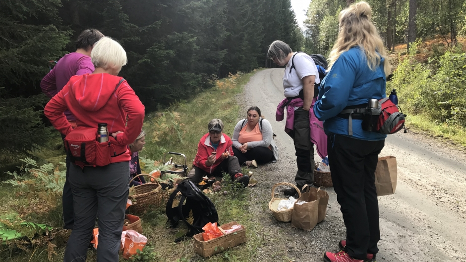 Ingrid Reiten gikk gjennom alle kurvene og forklarte Ingrid Reiten gikk gjennom alle kurvene og forklarte