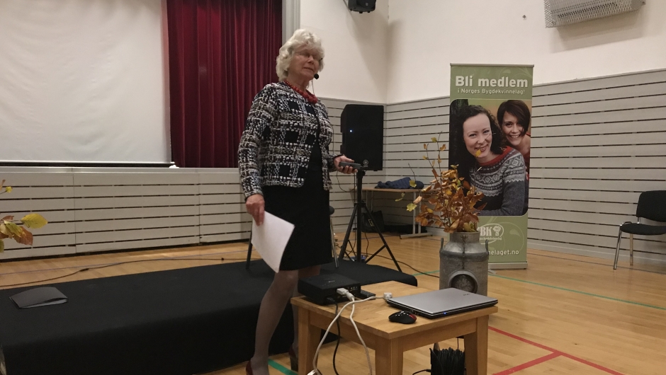 Kjellaug Meisingset; resymé over lagets aktiviteter og møter Kjellaug Meisingset; resymé over lagets aktiviteter og møter