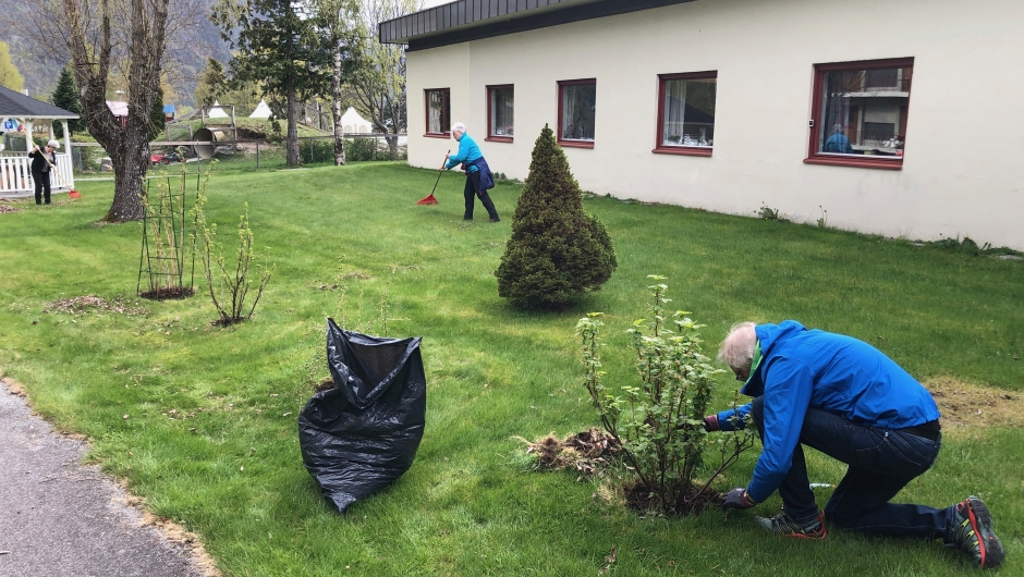 Bærbuskene får godt stell av Oddbjørn! Bærbuskene får godt stell av Oddbjørn!