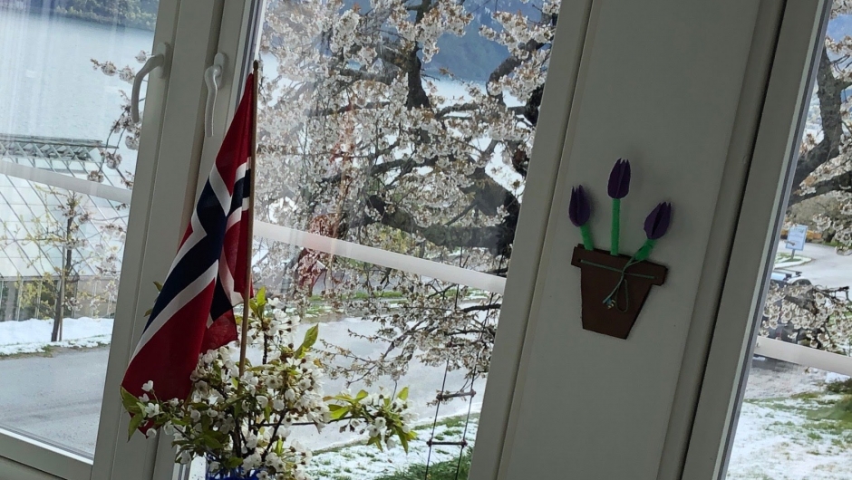 Flagg og blømande frukttre på Linge! Flagg og blømande frukttre på Linge!