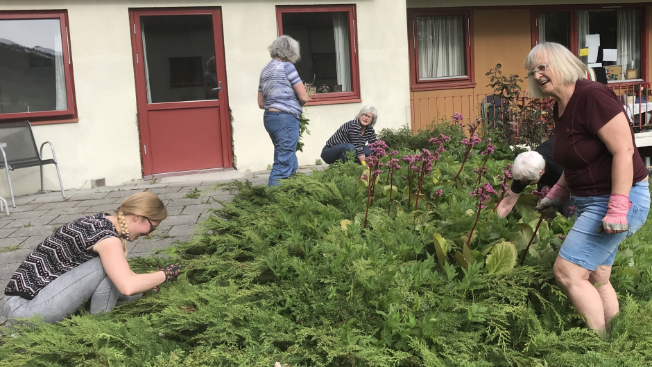 Jystina, til venstre, - elska å luke ugras ! Jystina, til venstre, - elska å luke ugras !