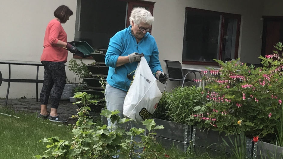 Bjørg og Else konsentrerer seg om planting! Bjørg og Else konsentrerer seg om planting!