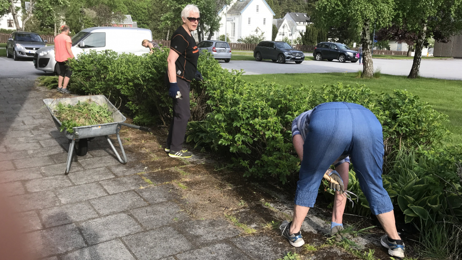 Baken i veret! Desse damene ga seg ikkje med ugraset! Baken i veret! Desse damene ga seg ikkje med ugraset!