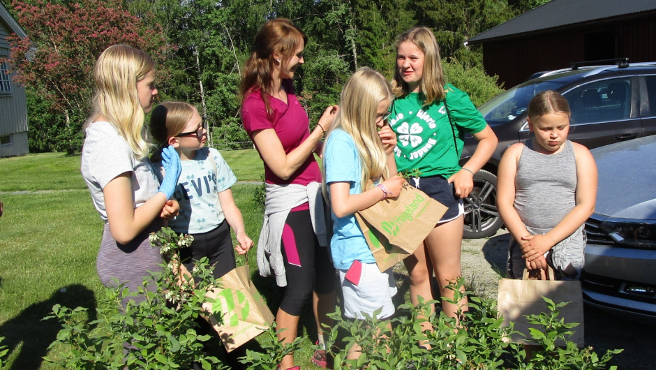 Lukt og smak er viktig