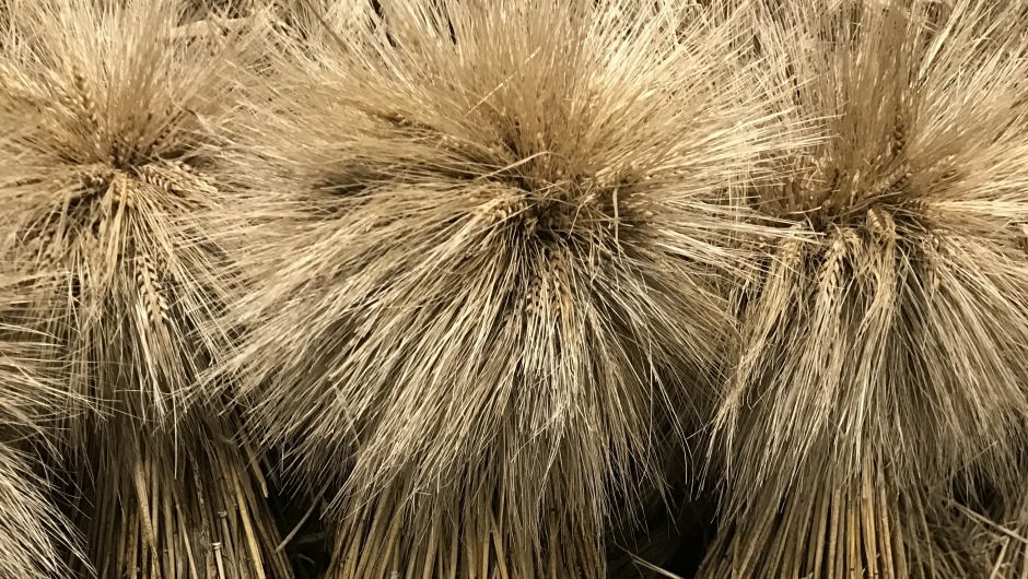 Julenek fra Dyrk Mølle Julenek fra Dyrk Mølle