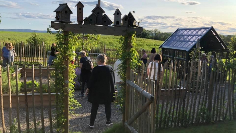 Den nye kjøkkenhagen Den nye kjøkkenhagen