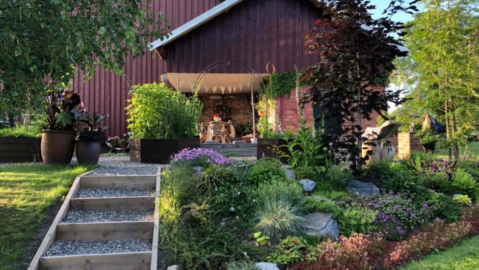 Trapp i hagen Trapp i hagen