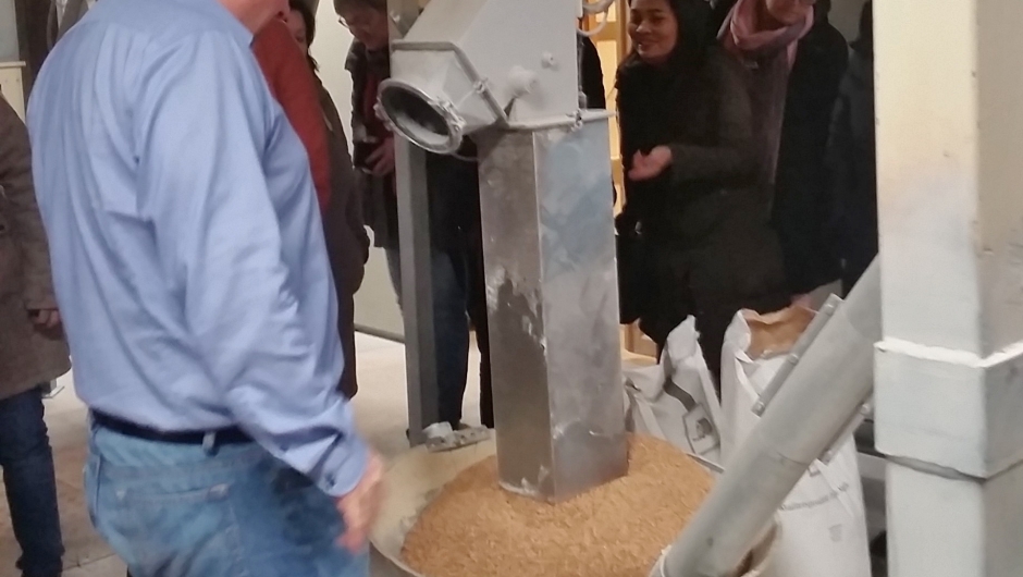 Korn på vei til maling