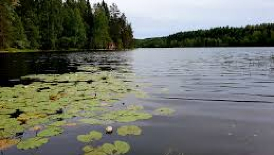 Korssjø