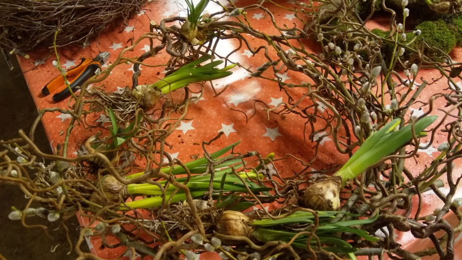 Vrihassel, gåsunger og løkblomster Vrihassel, gåsunger og løkblomster