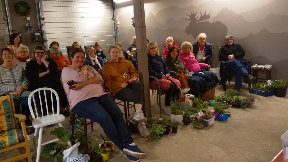 De fleste plantene har fått nye eiere De fleste plantene har fått nye eiere