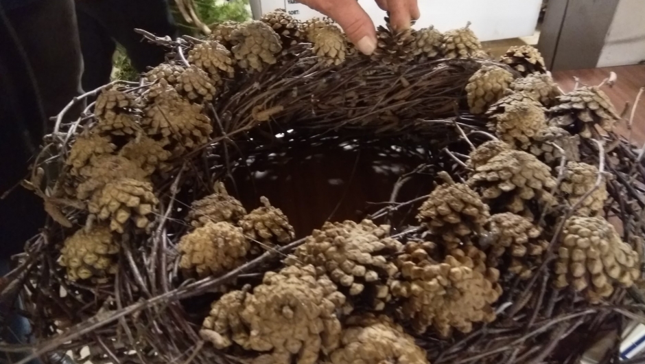 Bjørkekvister som underlag Et annet underlag