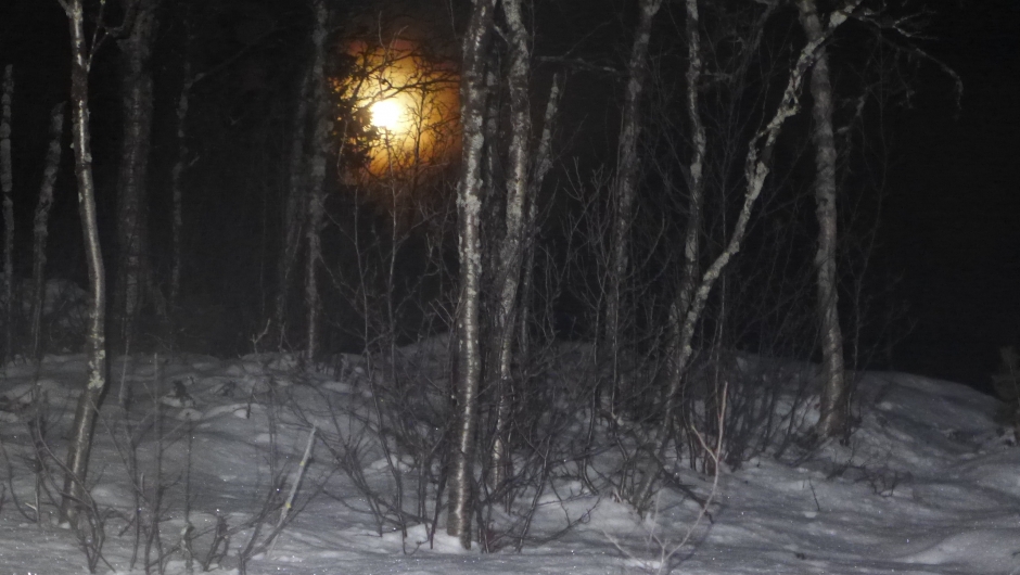 Takk for ein fin måneskinnskveld!