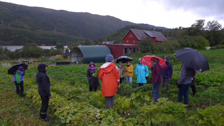 Litt regn, pytt sann! Fin ettermiddag i hagen.