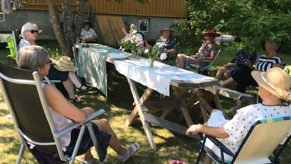 Godt og varmt i skyggen. Foto: Kirsti Lund Godt og varmt i skyggen