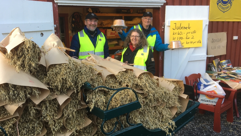 Lions solge julenek Julenek