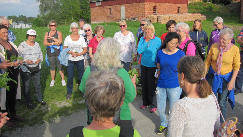 Mange interesserte Mange interesserte