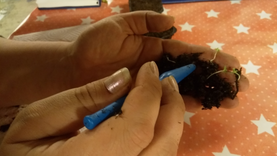 Behandler forsiktig Behandler forsiktig