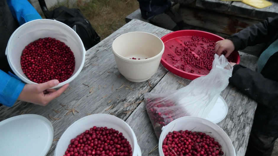 Bærene ble rensket ute.