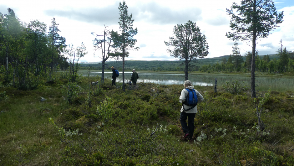 Flott på Dagalifjellet. Flott på Dagalifjellet.