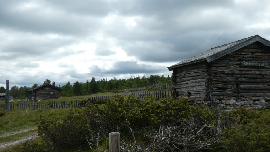 Passerer Bjørkjebuin. Passerer Bjørkjebuin.