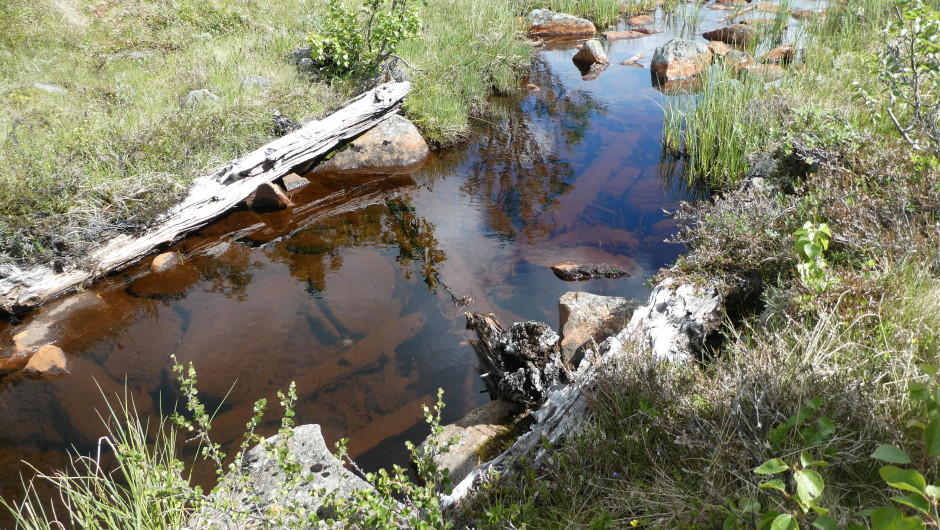 Rester av ei gammel bru. Rester av ei gammel bru.