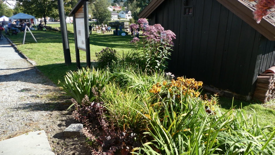 Høst i staudebedet som Bakke BK har plantet. Staudebedet.