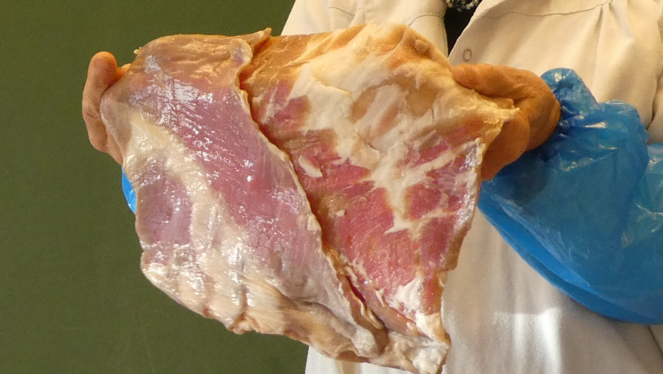 slagside, tørrsalta 1 døgn. slagside