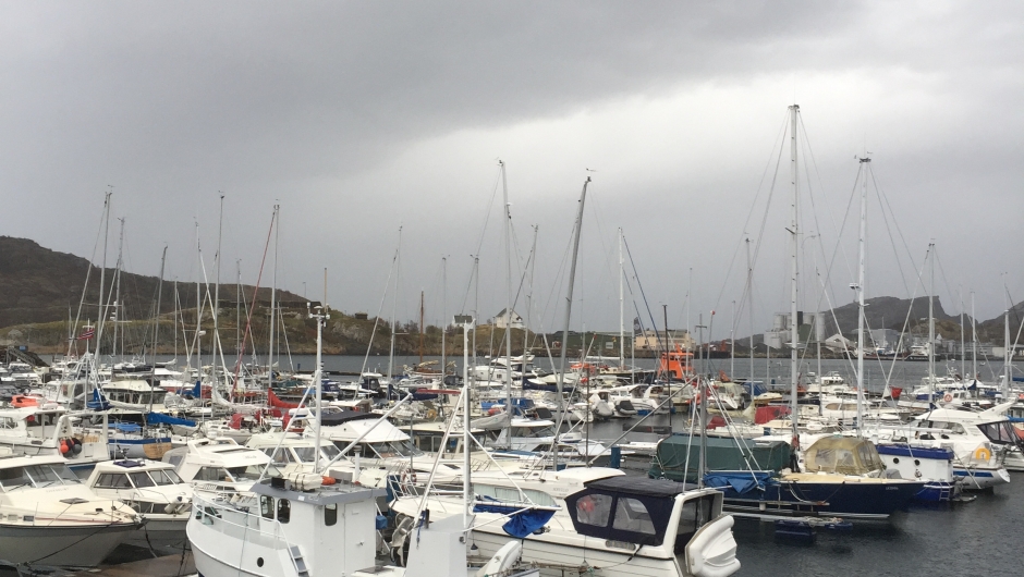 På moloen i Bodø småbåthavn