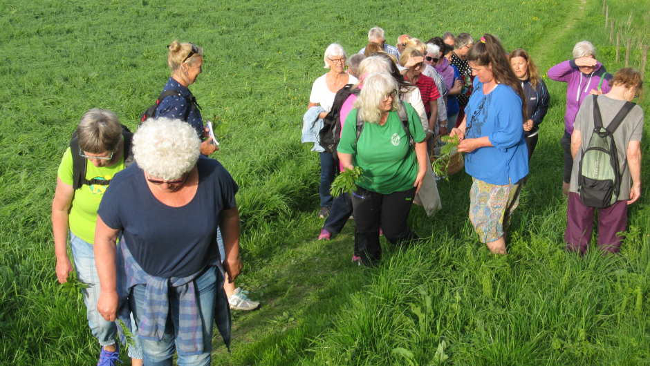 På vei til Hylli På vei til Hylli