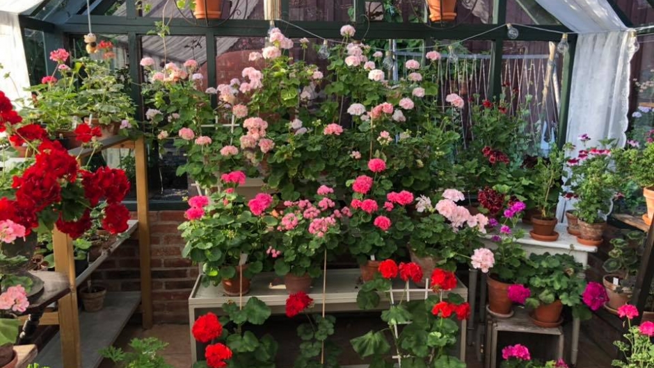 Mange forskjellige Mange forskjellige