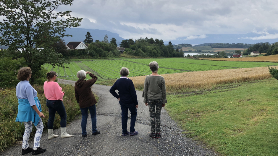 Gjengen nyter utsikten over Røyselandskapet Røyse