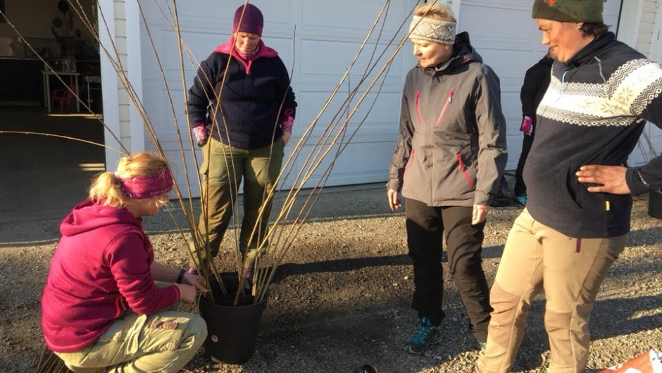 Lage piletre Lage piletre